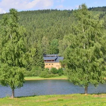 Načítání