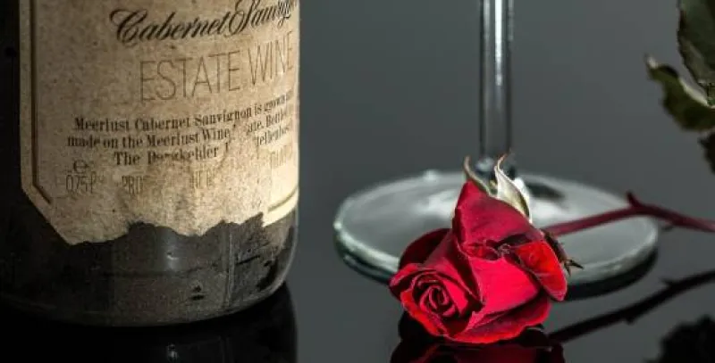 † Vinařský kurz - Wine Professional †